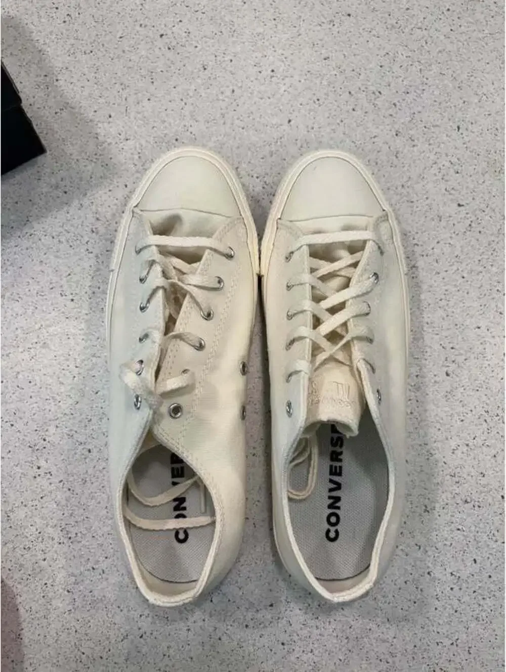 Converse New in Box | Size 6 Kids
